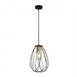 Подвесной светильник Escada 10180/1S E27*60W Black/Brass