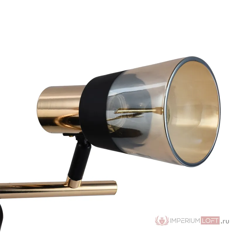 Настенно-потолочный свет Escada BRANDY 684/2A от ImperiumLoft