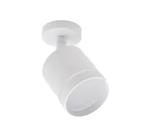 Спот Escada 20009 20009SMA/02LED SWH Спот Escada 20009 20009SMA/02LED SWH