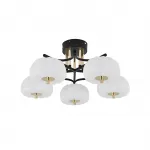 Потолочный светодиодный светильник Escada HALMA 10301/5LED