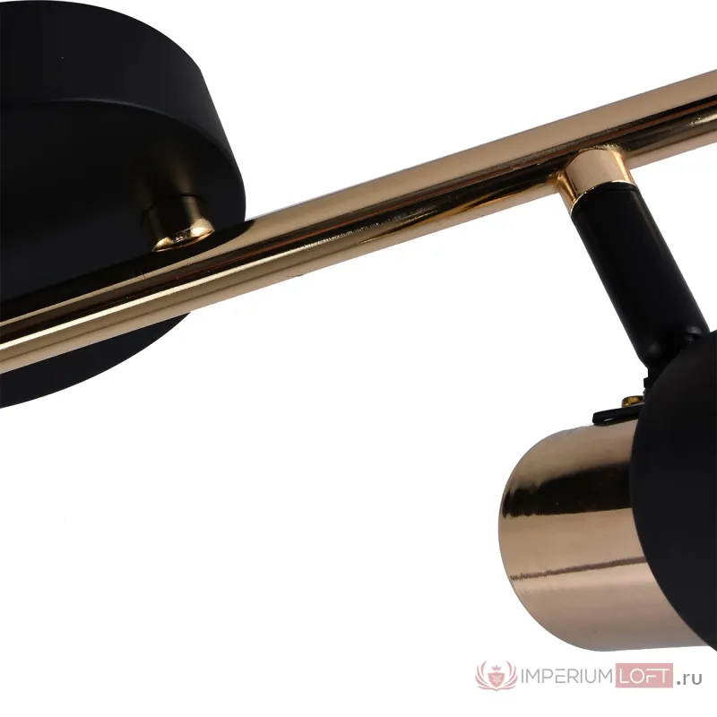 Настенно-потолочный свет Escada BRANDY 684/2A от ImperiumLoft