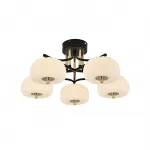 Потолочный светодиодный светильник Escada HALMA 10301/5LED
