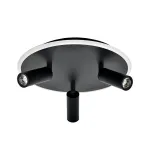 Потолочный светильник Escada 20046LED 20046SMA/03LED BK