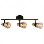 Настенно-потолочный светильник Escada BRANDY 684/3P
