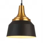 Подвесной светильник Escada 1102/1S E27*40W Black