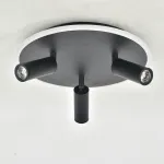 Потолочный светильник Escada 20046LED 20046SMA/03LED BK