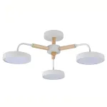 Потолочная люстра Escada KAORI 10270/3LED