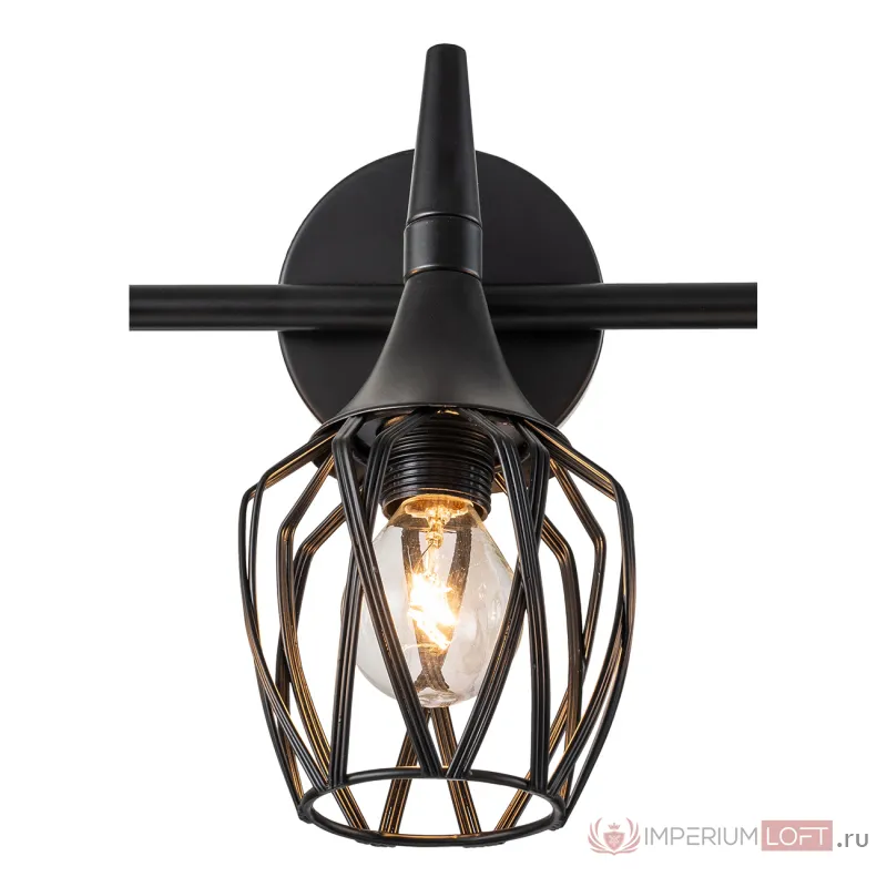 Настенно-потолочный свет Escada GALE 1120/3A от ImperiumLoft