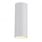 Настенный светильник Escada BIOTIT 30015W/02 White