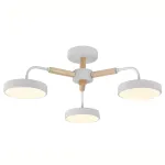 Потолочная люстра Escada KAORI 10270/3LED