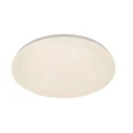 Потолочный светильник Escada GALATEA 10213/SG LED