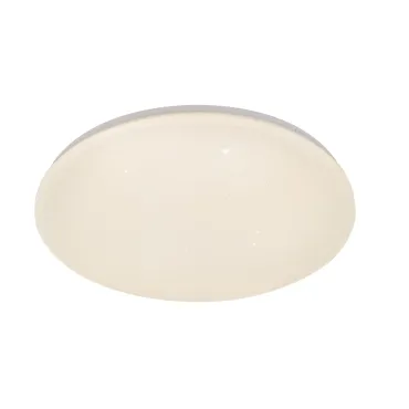 Потолочный светильник Escada GALATEA 10213/SG LED