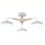 Потолочная люстра Escada KAORI 10270/3LED