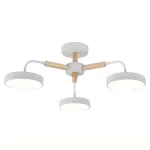 Потолочная люстра Escada KAORI 10270/3LED