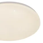 Потолочный светильник Escada GALATEA 10213/SG LED