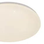 Потолочный светильник Escada GALATEA 10216/SG LED APP