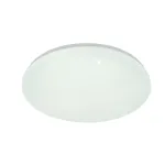Потолочный светильник Escada GALATEA 10216/SG LED APP