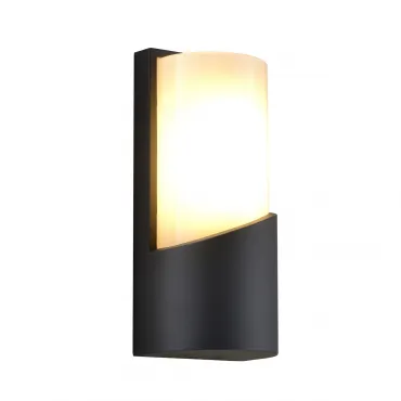 Уличный настенный светильник Escada 30004W/01 E27*40W IP44 Dark grey