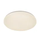 Потолочный светильник Escada GALATEA 10216/SG LED APP