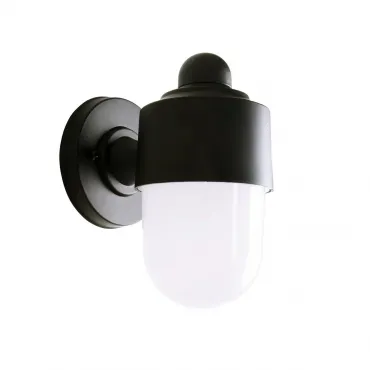 Уличный настенный светильник Escada 30008W/01 E27*10W IP44 Black