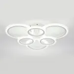 Потолочный светодиодный светильник Escada AVANI 10258/6LED от ImperiumLoft