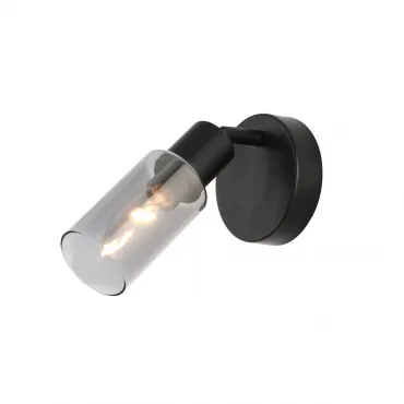 Настенный светильник (спот) Escada SECTOR 10172/1A Chrome