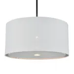Подвесной светильник Escada ADAGIO 10186/1S