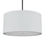 Подвесной светильник Escada ADAGIO 10186/1S