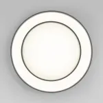 Потолочный светодиодный светильник Eurosvet Force a065956 от ImperiumLoft