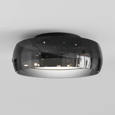 Потолочный светильник Eurosvet Noir 201051 LED