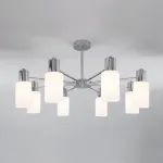 Потолочная люстра Eurosvet Vegga 70160/8  