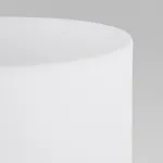 Настольный светильник TK Lighting Tokyo a059894