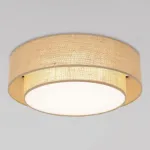 Потолочный светильник TK Lighting Calisto Juta 11046