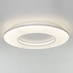 Потолочный светильник Eurosvet Kreis 101003 LED