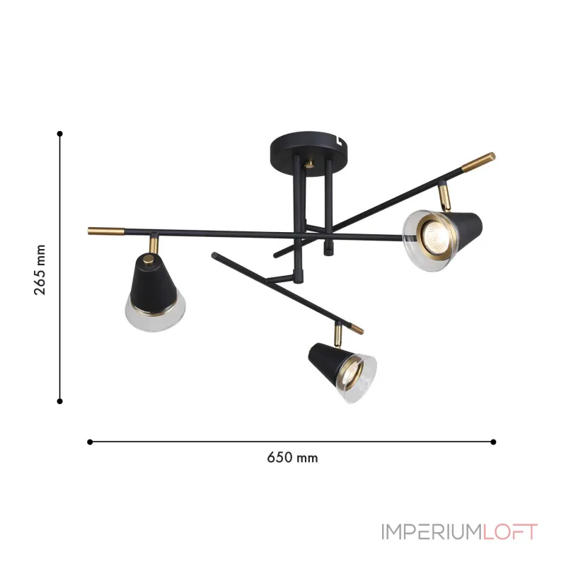 Потолочная люстра F-promo Trandy 4618-3C