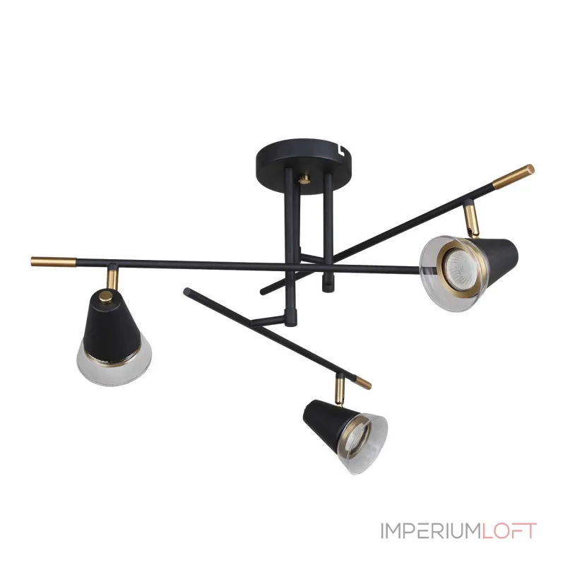 Потолочная люстра F-promo Trandy 4618-3C