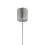 Подвесной светильник Favourite Leaftube 4803-1P