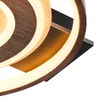 Потолочный светильник F-Promo Labrea 4699-1C