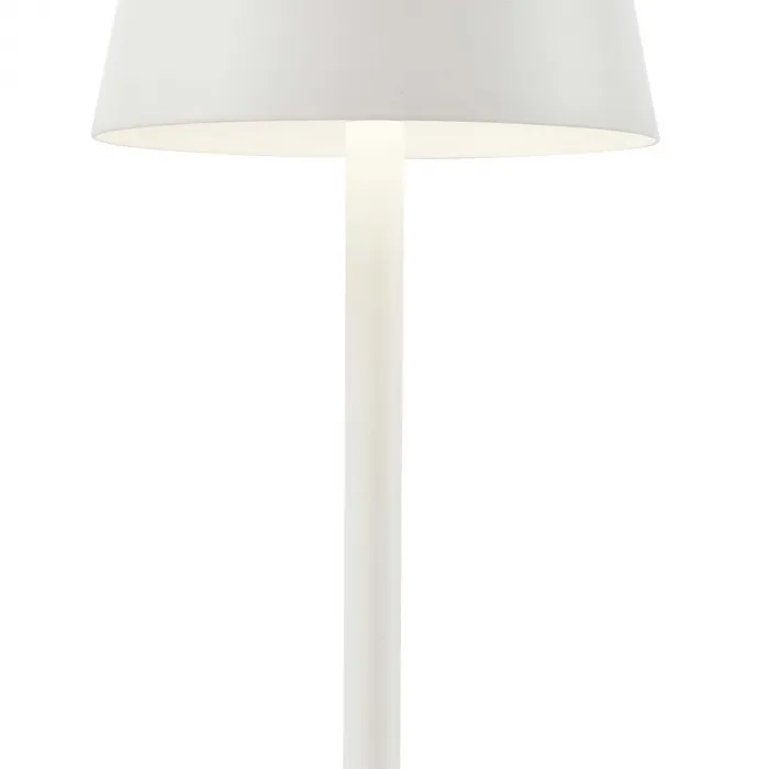 Настольный светильник F-promo Pyari 4614-1T от ImperiumLoft