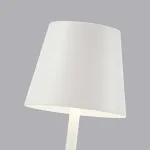 Настольный светильник F-promo Pyari 4614-1T от ImperiumLoft