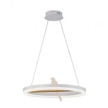 Подвесная люстра F-promo Bardy 4653-1P Подвесная люстра F-promo Bardy 4653-1P