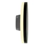 Светильник уличный светодиодный Feron Токио DH105 LED IP54 12W 4000К