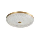 Потолочный светильник Arti Lampadari Viro Viro L 1.13.45x8 G