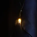 Гирлянда сеть FERON CL42, 260LED, 2700К (тёплый белый)3*3м+3м 22см, IP44, 14W