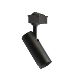 Светодиодный потолочный светильник Lucia Tucci LTP-T020-10W-B