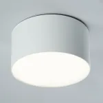 Светильник накладной со светодиодами Feron AL200 LED IP20 10W 4000К