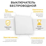 Выключатель двухклавишный без рамки Feron Saffit TM82 41129 от ImperiumLoft
