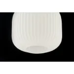 Люстра подвесная Arti Lampadari Delebio Delebio E 1.P1 W