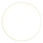 Светодиодный потолочный светильник Feron AL266 LED IP44 24W 4000К