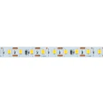 Лента светодиодная 24V 120*SMD2835 11W/m IP20 6500 5м Feron 53059